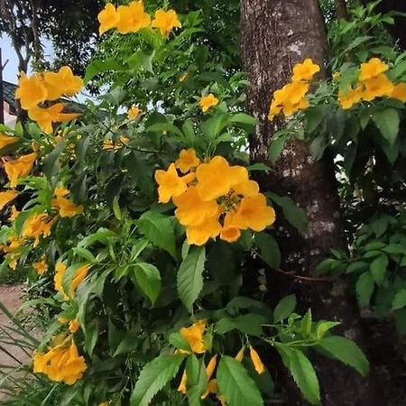 Montra Guesthouse Ranong Luaran gambar