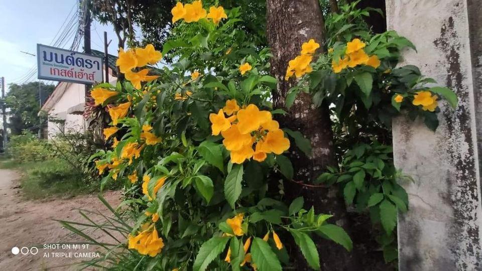 Montra Guesthouse Ranong Luaran gambar